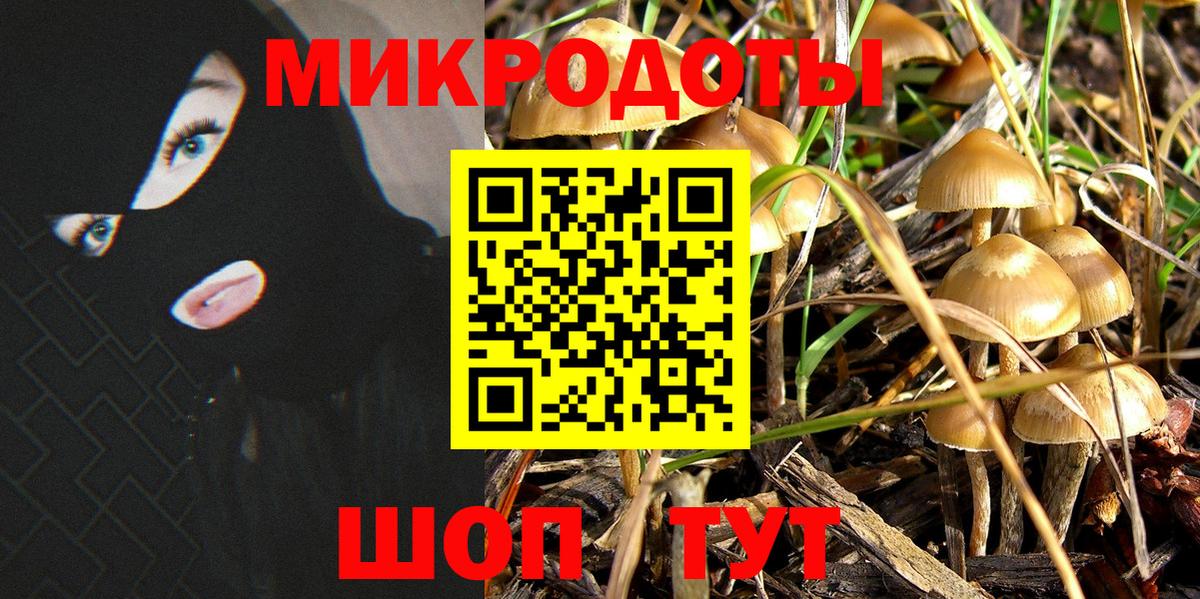 Томск  где продают   Вход с VPN  Псилоцибиновые грибы мухоморы 