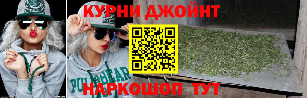 Каннабис OG Kush Томск